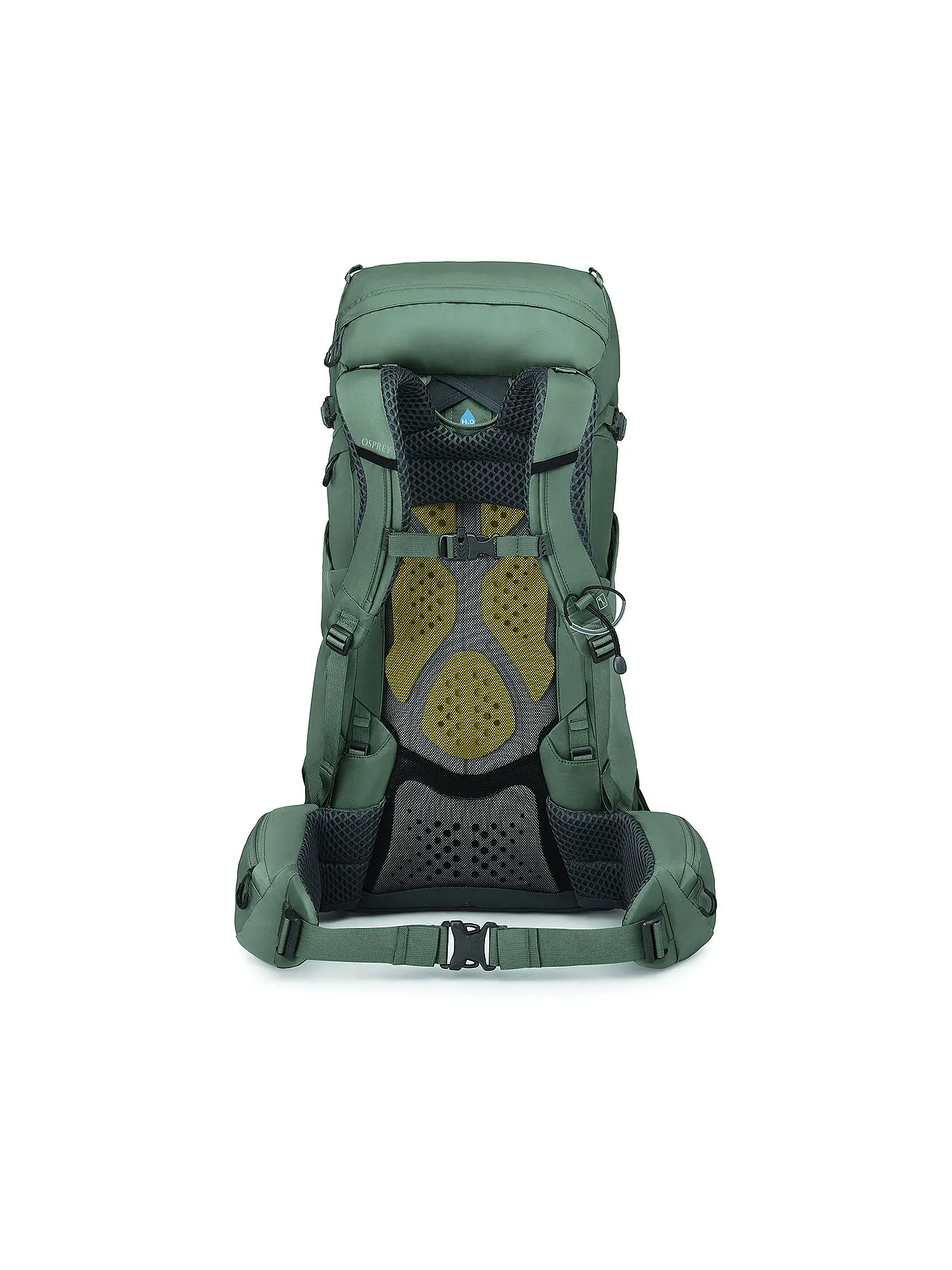 OSPREY | Damen Trekkingrucksack Kyte 38  | olive