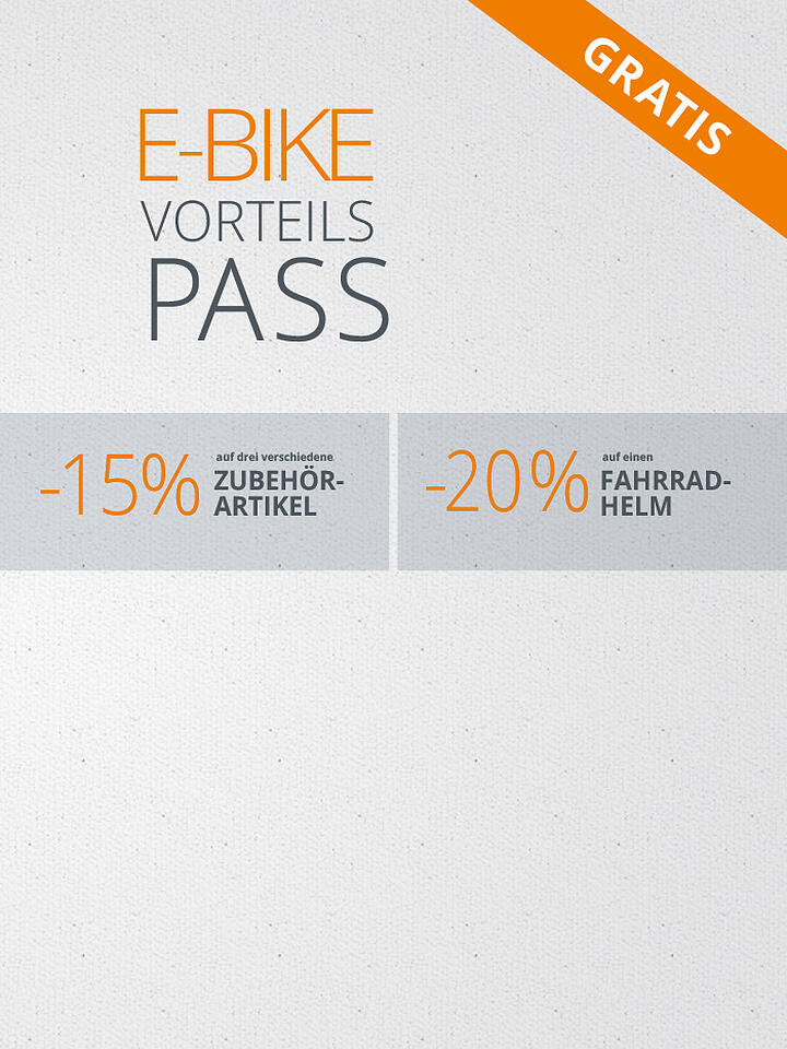 ELECTRA | Herren E-Urbanbike 27,5