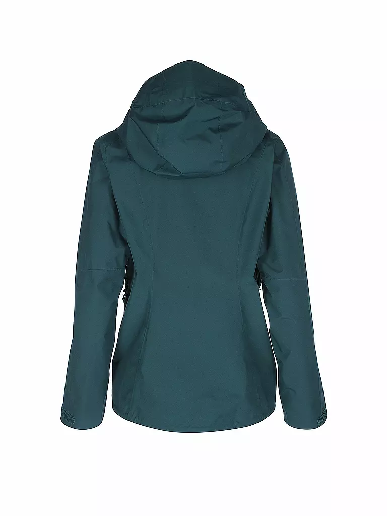 PATAGONIA | Damen Wanderjacke Calcite GTX Paclite | grün