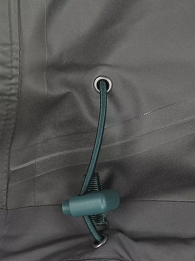 PATAGONIA | Damen Wanderjacke Calcite GTX Paclite | grün