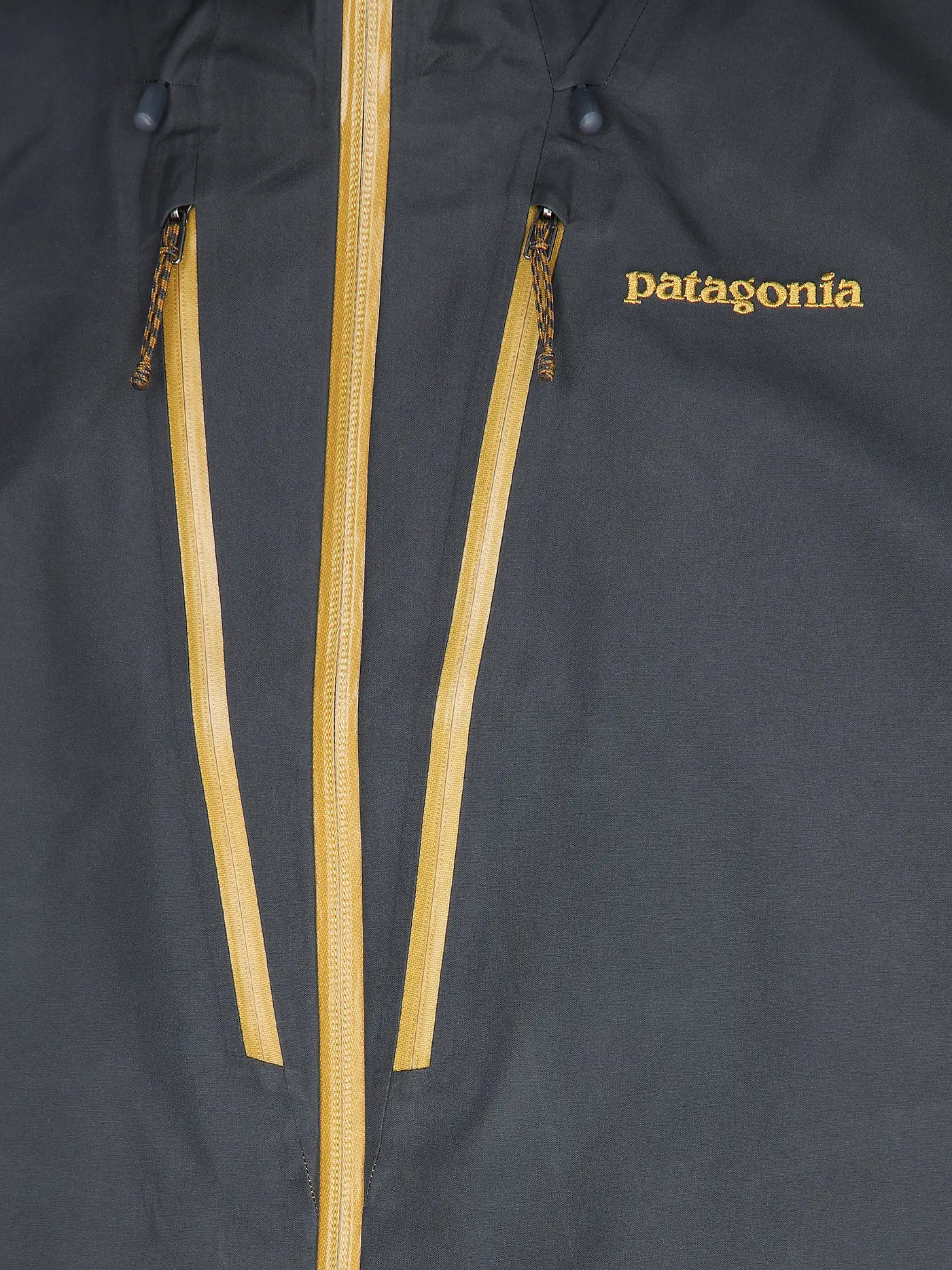 PATAGONIA | Herren Wanderjacke Triolet GTX 3L Hoodie | dunkelblau