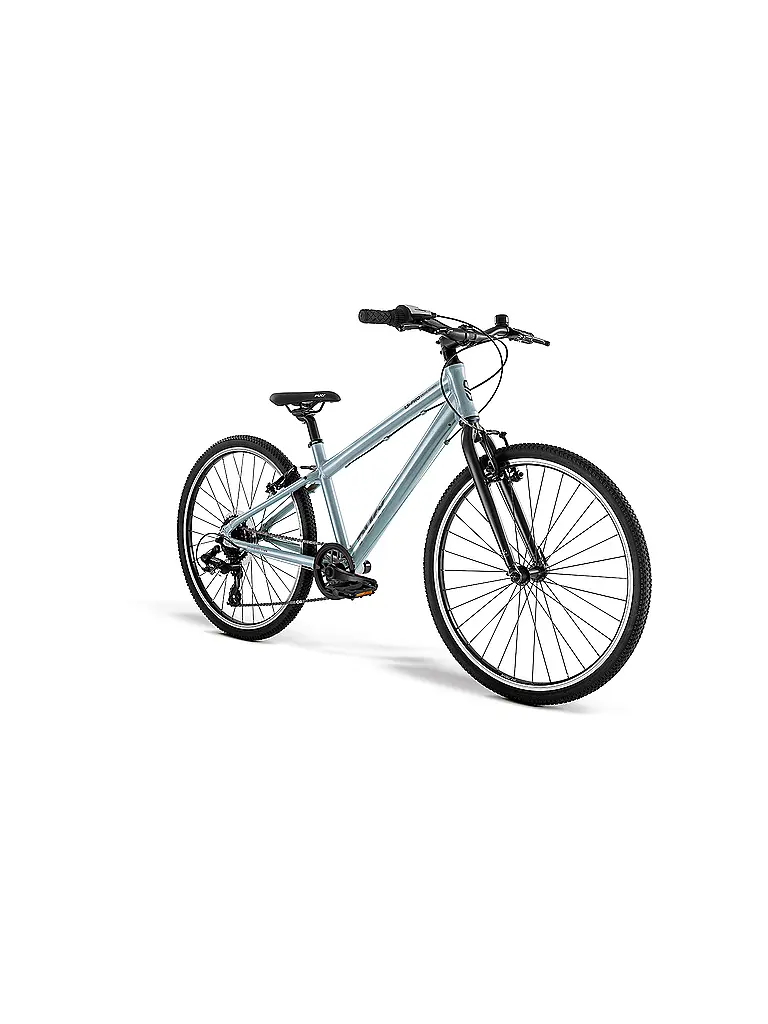 PUKY | Jugendfahrrad  LS-Pro 24-8 24" | 