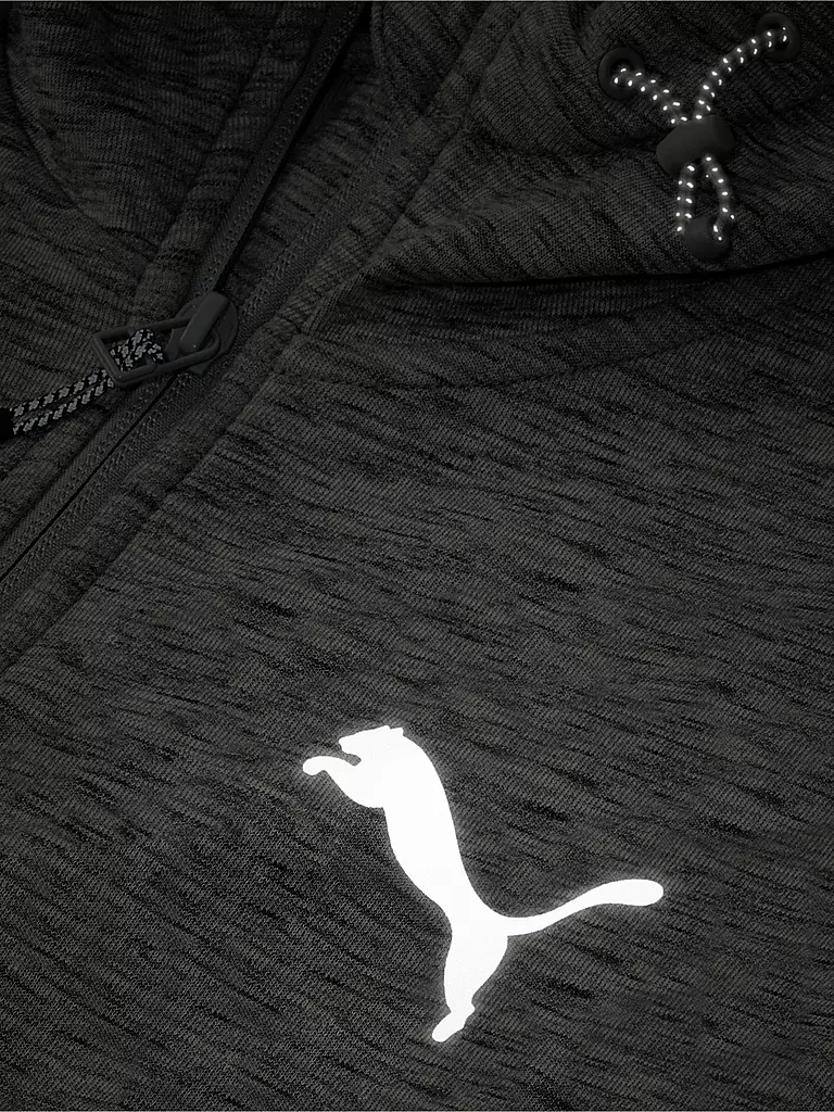 PUMA | Herren Kapuzenjacke Evostripe | grau