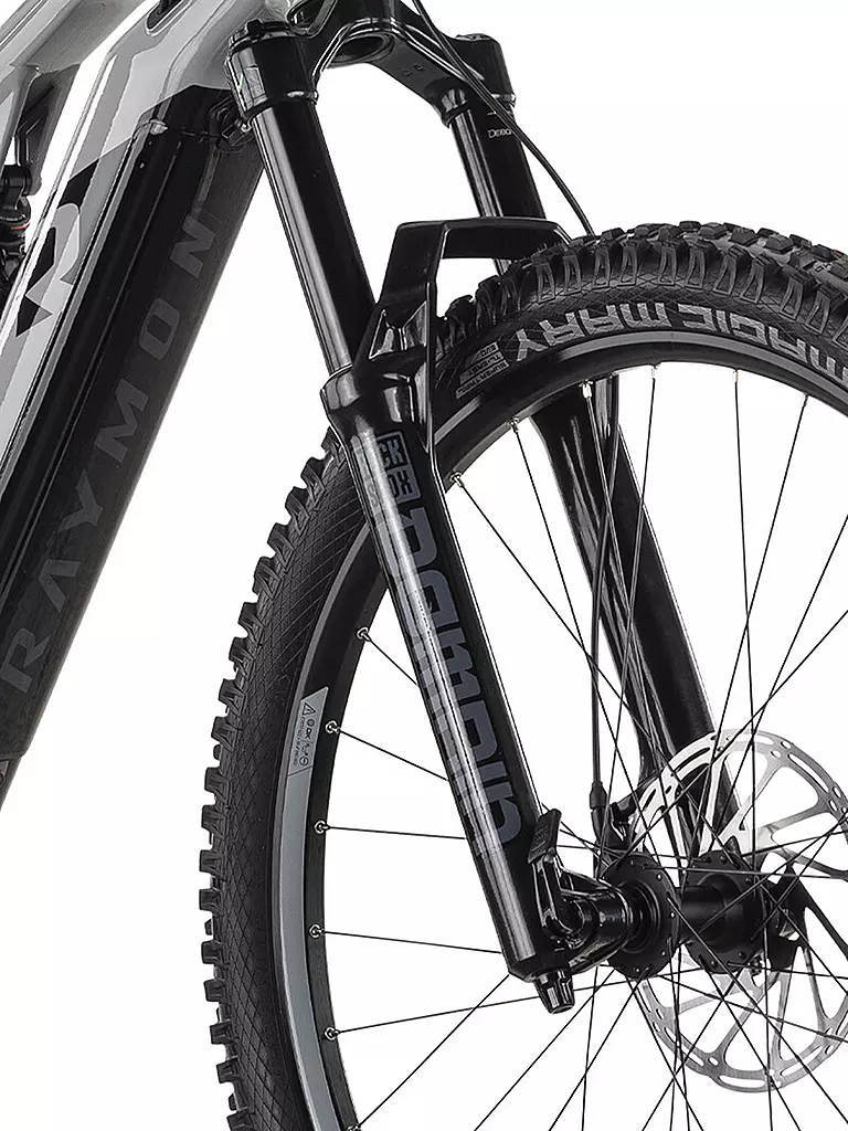 RAYMON | Herren E-Mountainbike 29