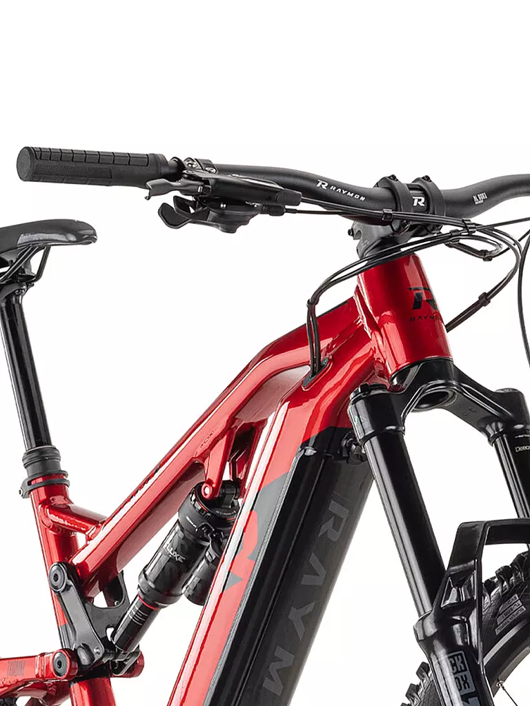 RAYMON | Herren E-Mountainbike 29