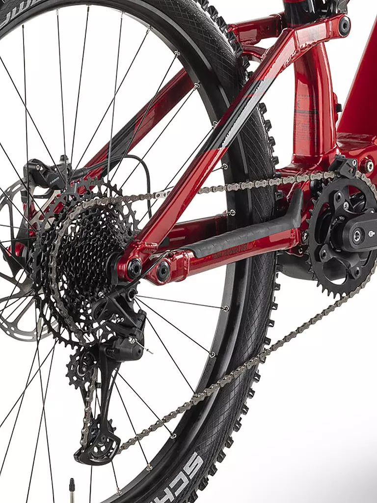 RAYMON | Herren E-Mountainbike 29