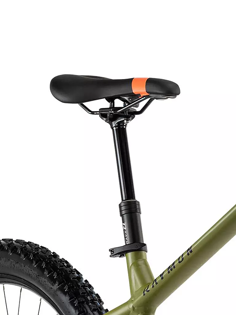 RAYMON | Herren E-Mountainbike 29" HardRay E-Nine 8.0 2020 | grün
