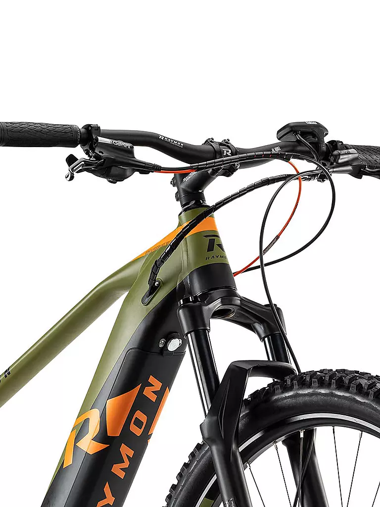 RAYMON | Herren E-Mountainbike 29" HardRay E-Nine 8.0 2020 | grün