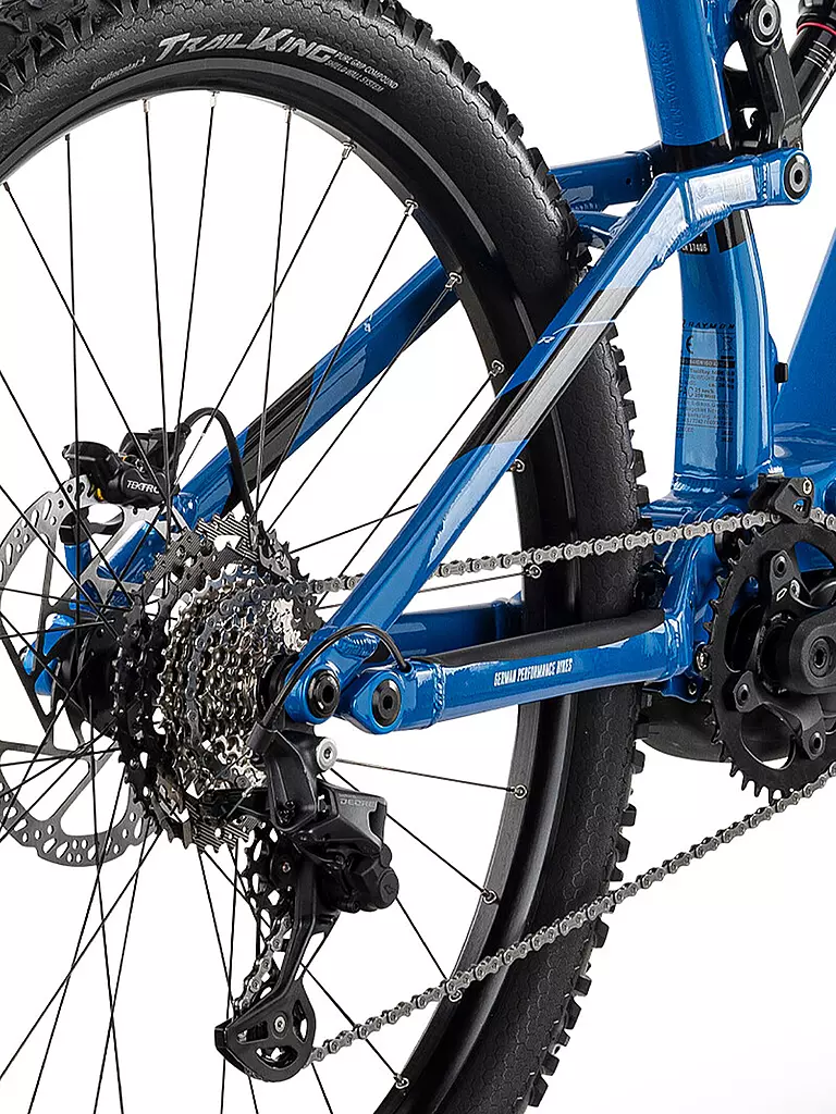 RAYMON | Herren E-Mountainbike 29" Trailray 140E 9.0 | blau