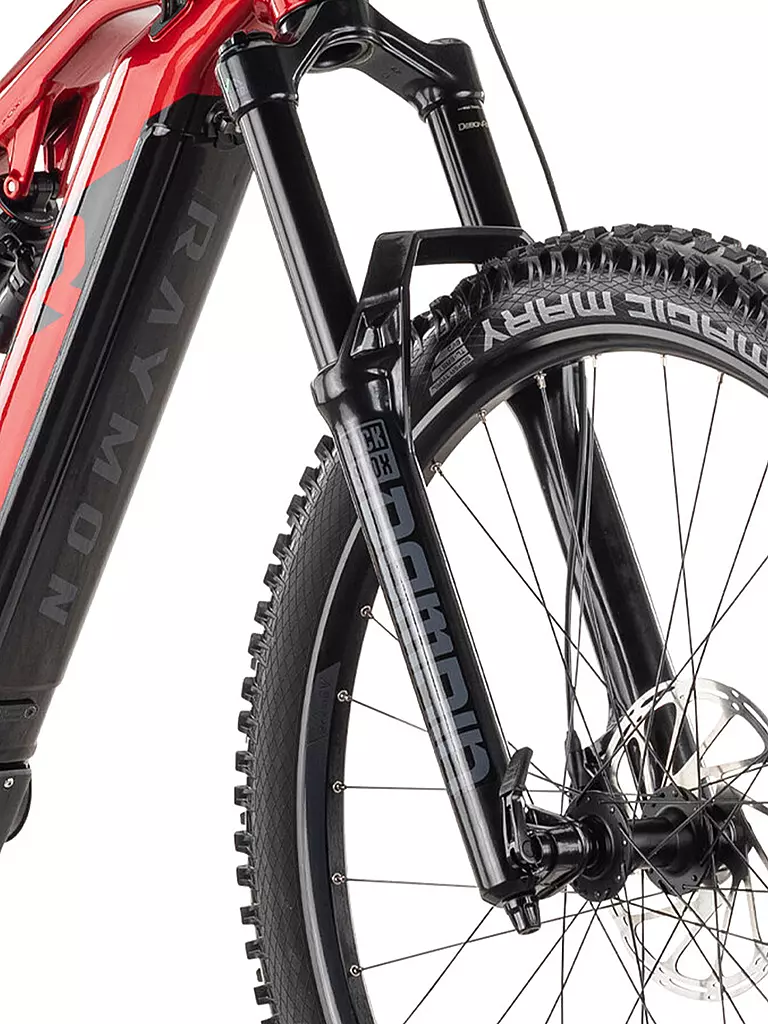 RAYMON | Herren E-Mountainbike 29" TrailRay 160E 10.0 | rot