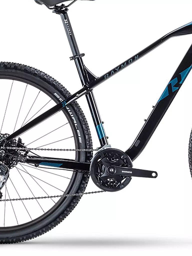 RAYMON | Mountainbike 29