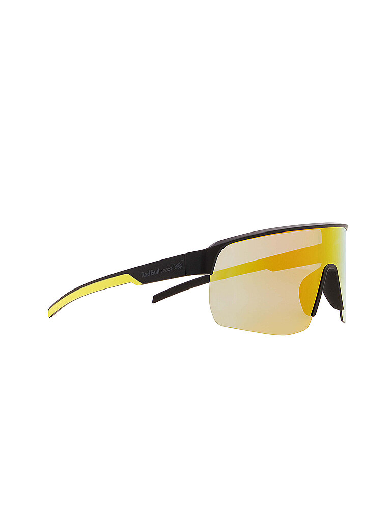 Herren Sportbrille Dakota schwarz M