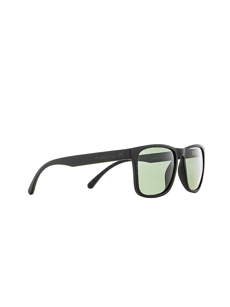 Herren Sonnenbrille Eden F3 schwarz M