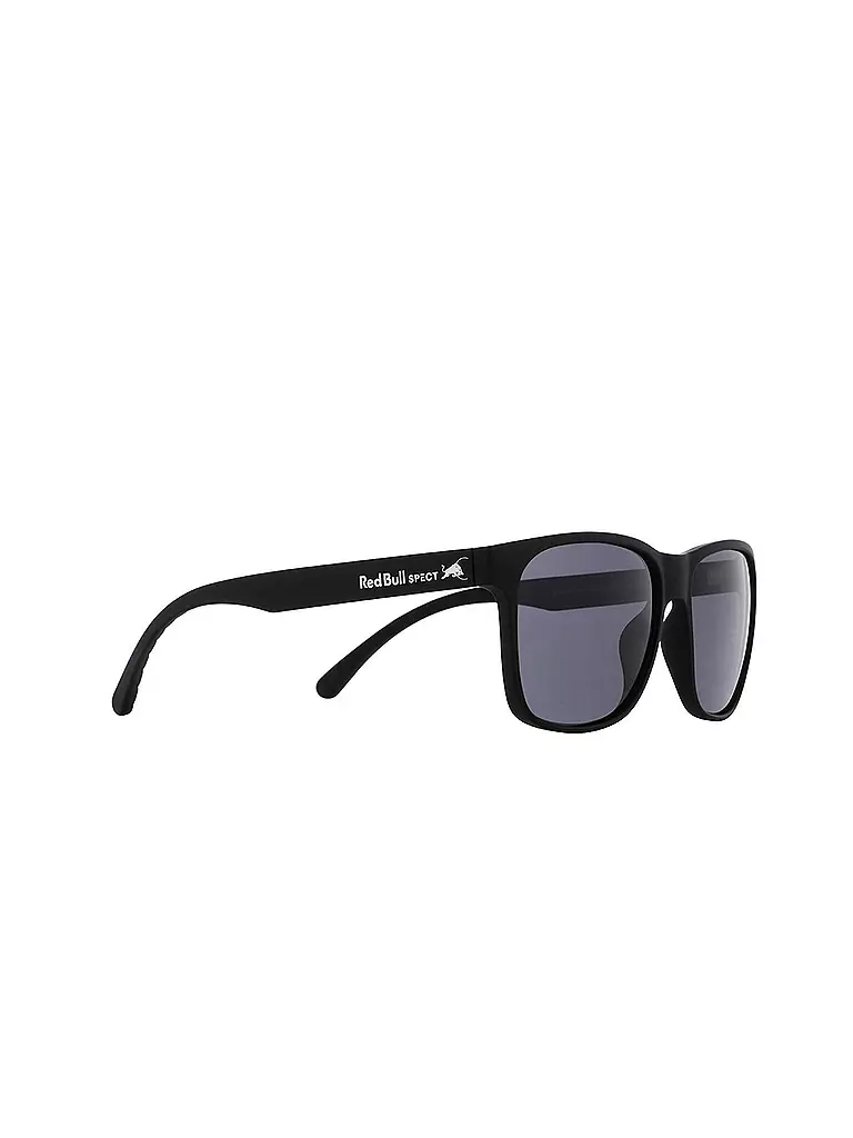 RED BULL SPECT | Herren Lifestylebrille Earle | schwarz