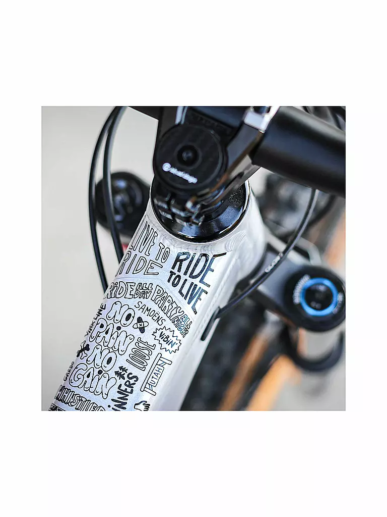 RIESEL DESIGN | frame:guard Slang | schwarz