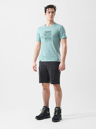 SALEWA | Herren Shorts Puez Cargo DST