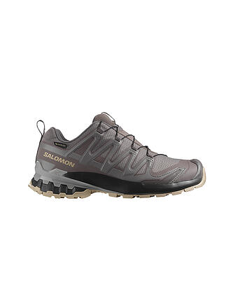 SALOMON | Damen Multifunktionsschuhe XA PRO 3D V9 GTX