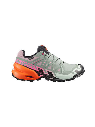 SALOMON | Damen Traillaufschuhe Speedcross 6 GTX Storm