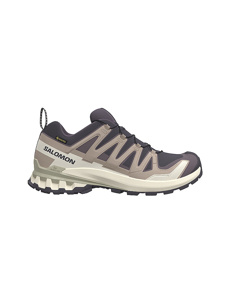 SALOMON Damen Multifunktionsschuhe XA PRO 3D V9 GTX lila | 38 2/3