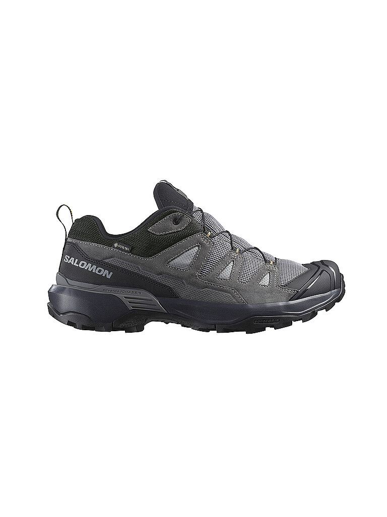 Salomon Wanderschuhe X Ultra 360 GORE-TEX Grau