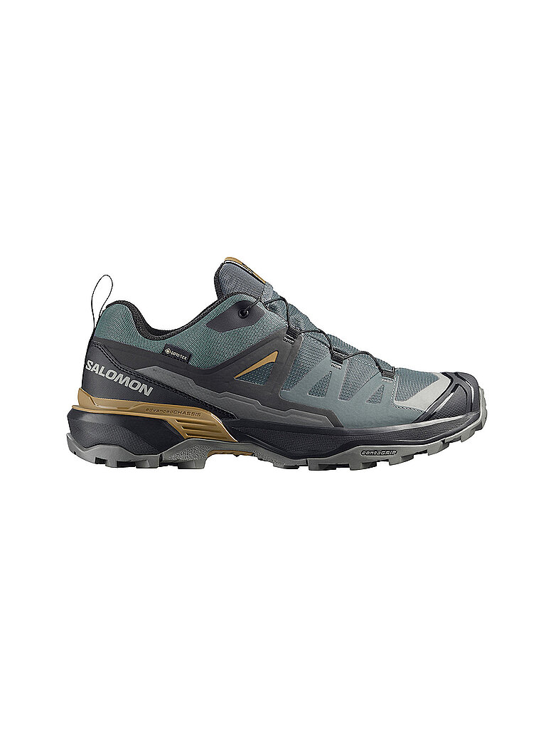 Salomon Schuhe X Ultra 360 GORE-TEX Grau