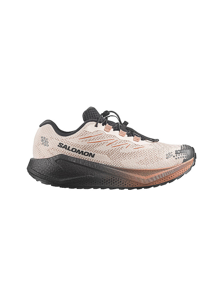 SALOMON Herren Traillaufschuhe Aero Blaze 4 Grvl GTX beige | 42