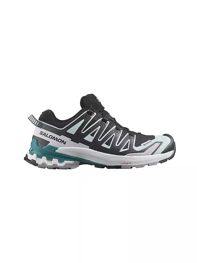 SALOMON | Damen Multifunktionsschuhe XA PRO 3D V9 GTX | blau