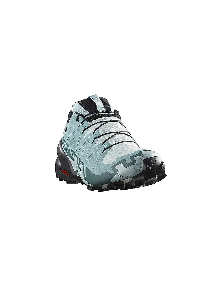 SALOMON | Damen Traillaufschuhe Speedcross 6 GORE-TEX | 