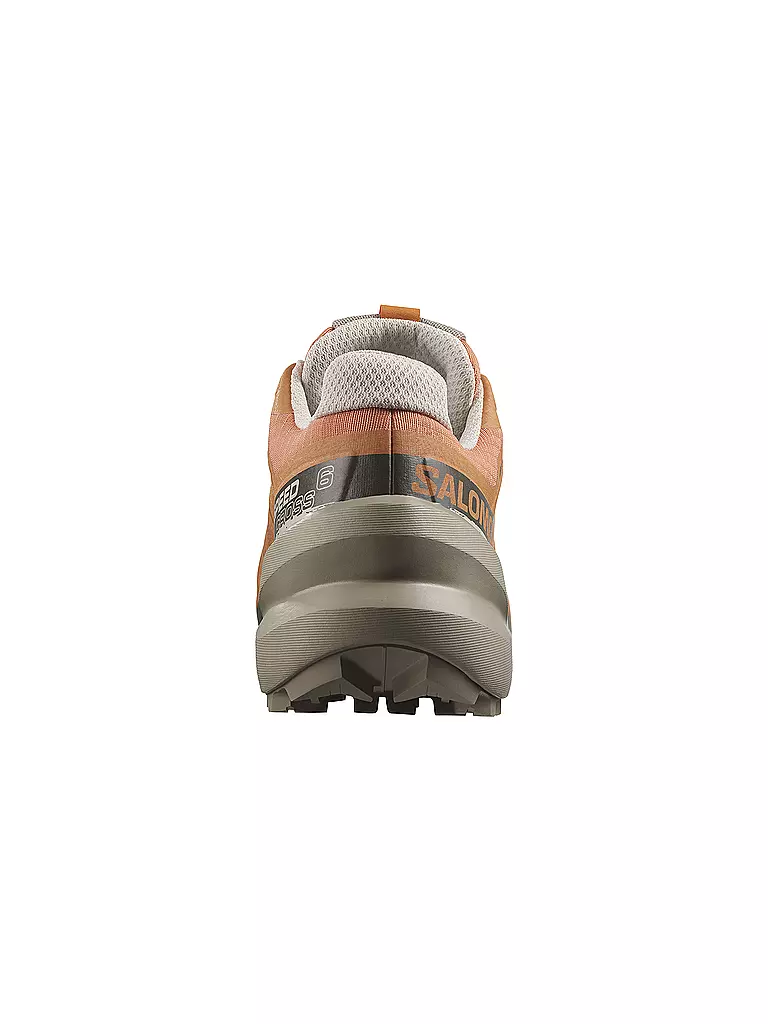 SALOMON | Damen Traillaufschuhe Speedcross 6 GTX | beige