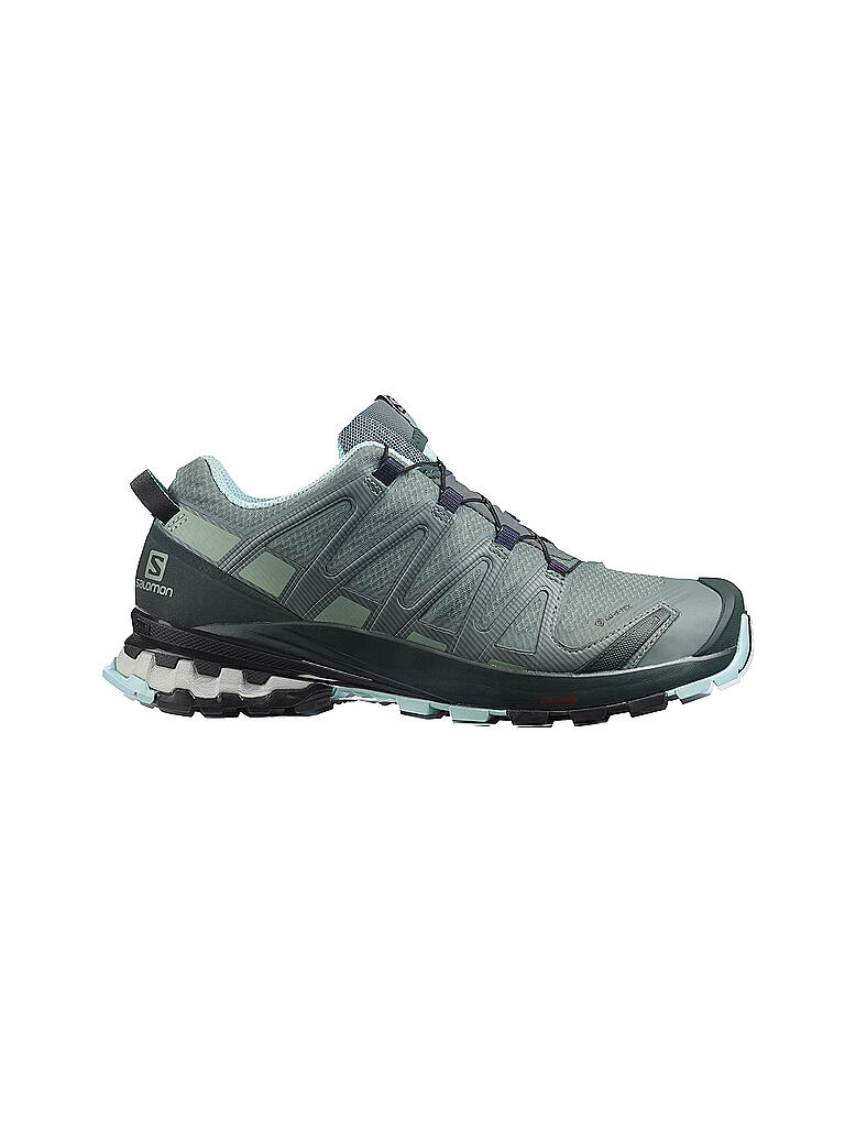 SALOMON | Damen Traillaufschuhe XA Pro 3D V8 GTX | grün