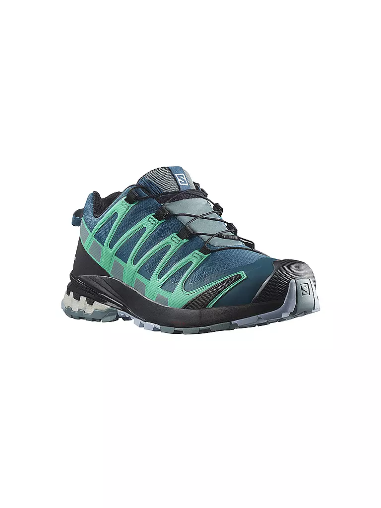 SALOMON | Damen Traillaufschuhe XA Pro 3D V8 GTX | blau