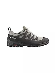 SALOMON | Herren Hikingschuhe X Ward Leather Gore-Tex | beige