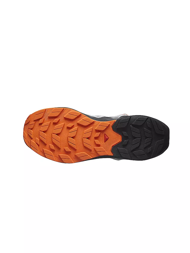 SALOMON | Herren Speedhikingschuhe Elixir Activ GTX | grau