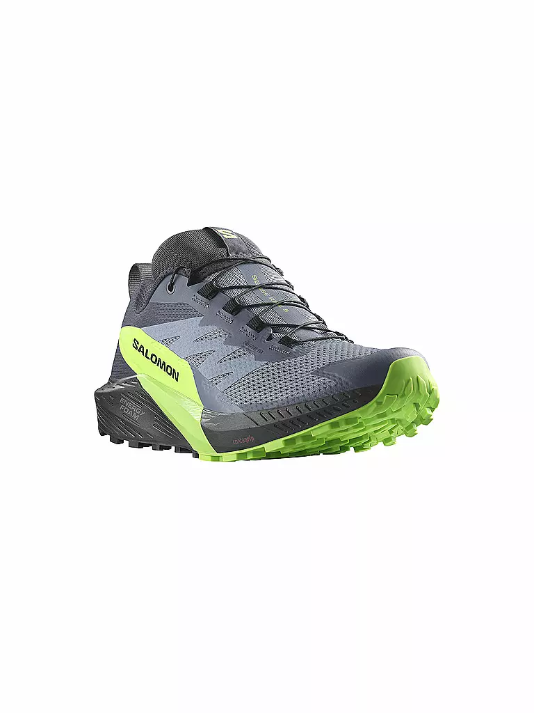 SALOMON | Herren Traillaufschuhe Sense Ride 5 GTX | blau