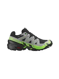 SALOMON | Herren Traillaufschuhe Speedcross 6 GTX | grau