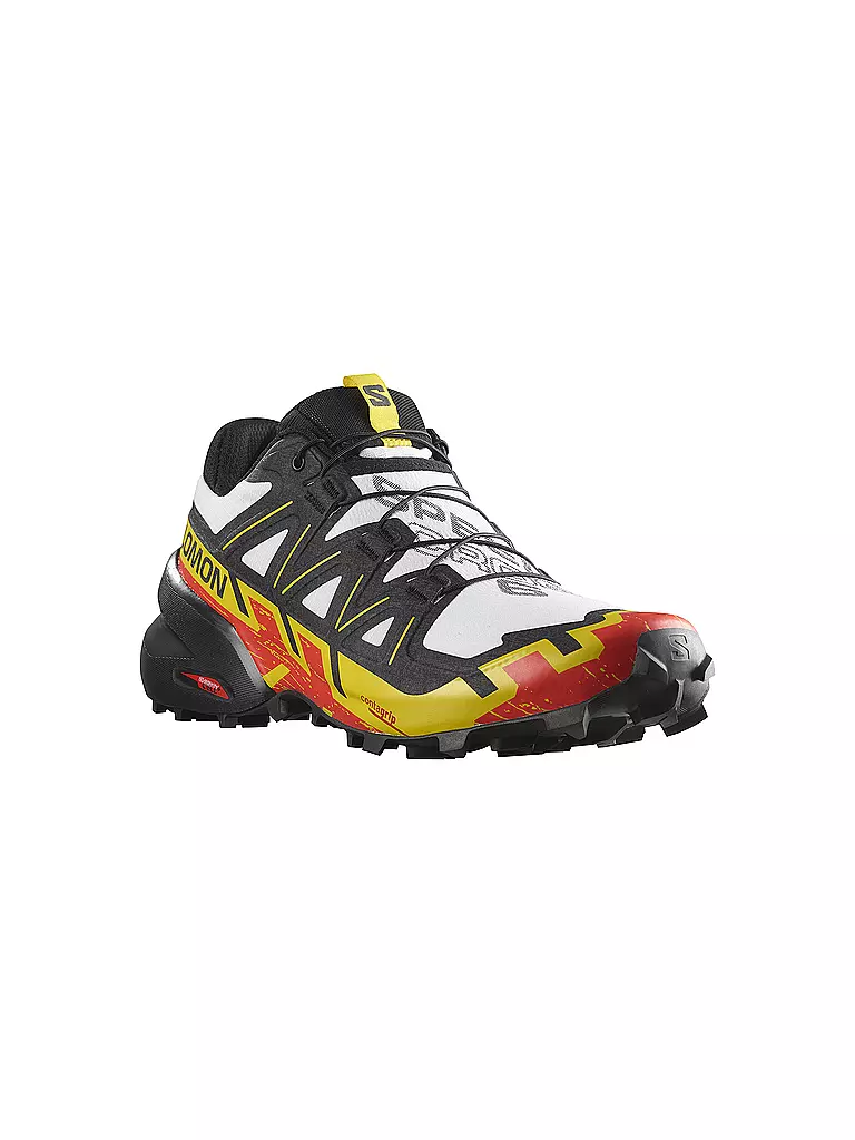 SALOMON | Herren Traillaufschuhe Speedcross 6 | grau