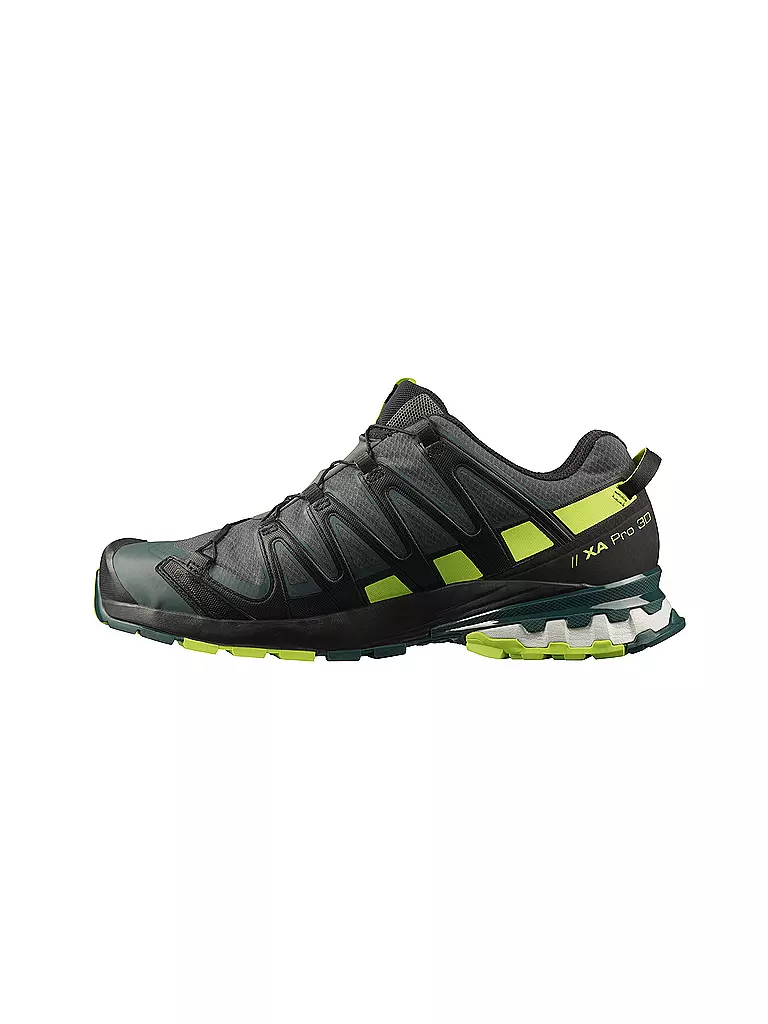 SALOMON | Herren Traillaufschuhe XA Pro 3D V8 GTX | grau