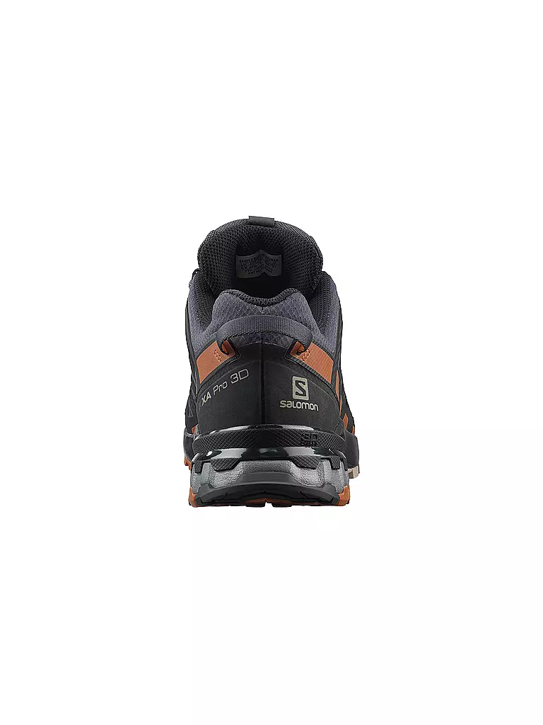 SALOMON | Herren Traillaufschuhe XA Pro 3D V8 GTX | schwarz