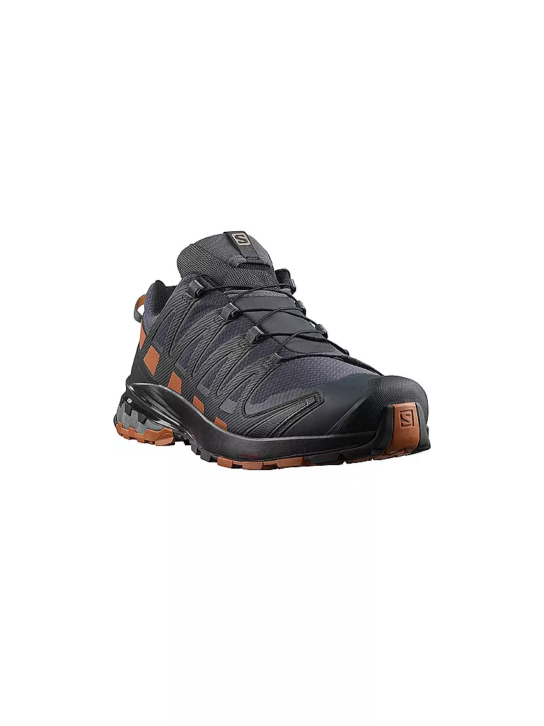 SALOMON | Herren Traillaufschuhe XA Pro 3D V8 GTX | schwarz