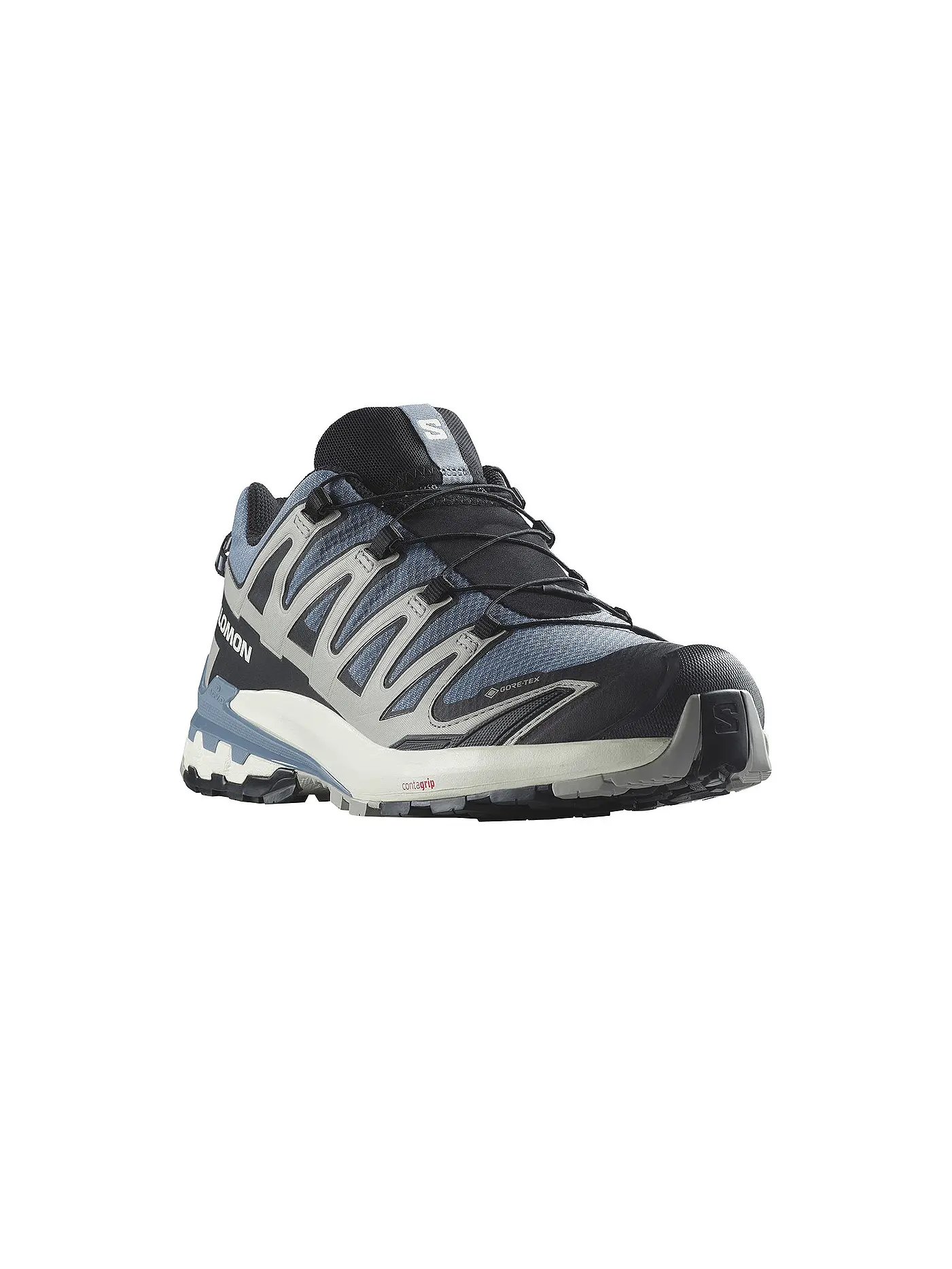 SALOMON | Herren Traillaufschuhe XA PRO 3D V9 GTX | grau