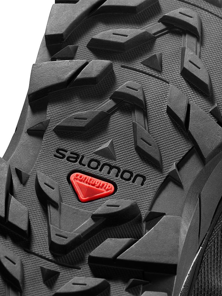SALOMON | Herren Wanderschuh X ALP MID LTR GTX | 
