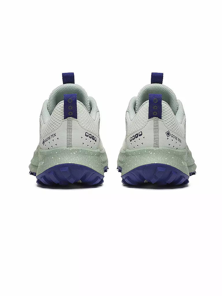 SAUCONY | Damen Laufschuhe Ride 17 GTX WS | creme