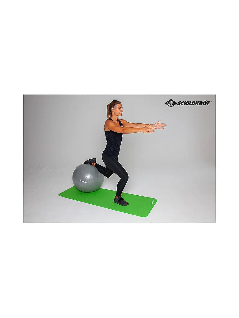 SCHILDKRÖT | Gymnastikball 55cm | silber