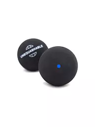 TALBOT TORRO | Squashbälle 2er Blister Blau / Fast | schwarz