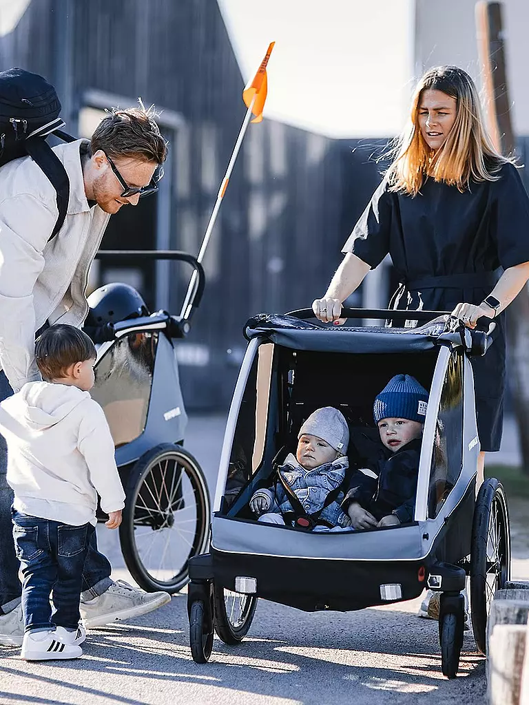 THULE 3in1 Fahrradanhänger für Kinder, Hunde oder Lasten Thule Courier  schwarz